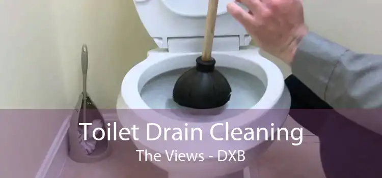 Toilet Drain Cleaning The Views - DXB