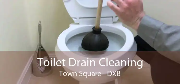 Toilet Drain Cleaning Town Square - DXB