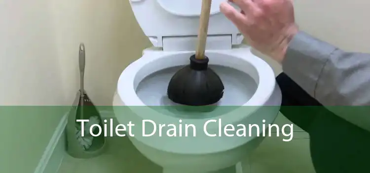 Toilet Drain Cleaning 